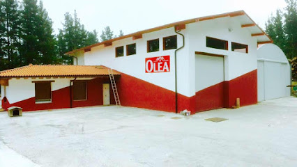 Construcciones Olea Eraikuntzak S.L.